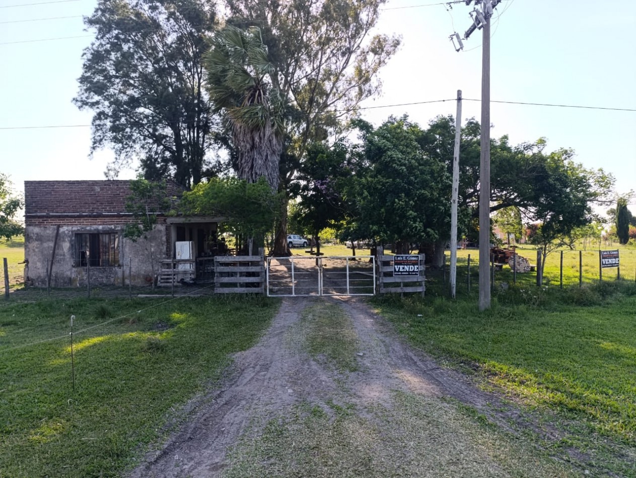CHACRA SOBRE RUTA NACIONAL 14 ALTURA KM 53 (GUALEGUAYCHU)