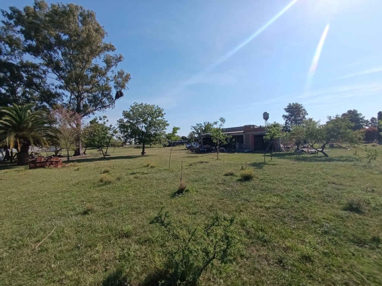 CHACRA SOBRE RUTA NACIONAL 14 ALTURA KM 53 (GUALEGUAYCHU)