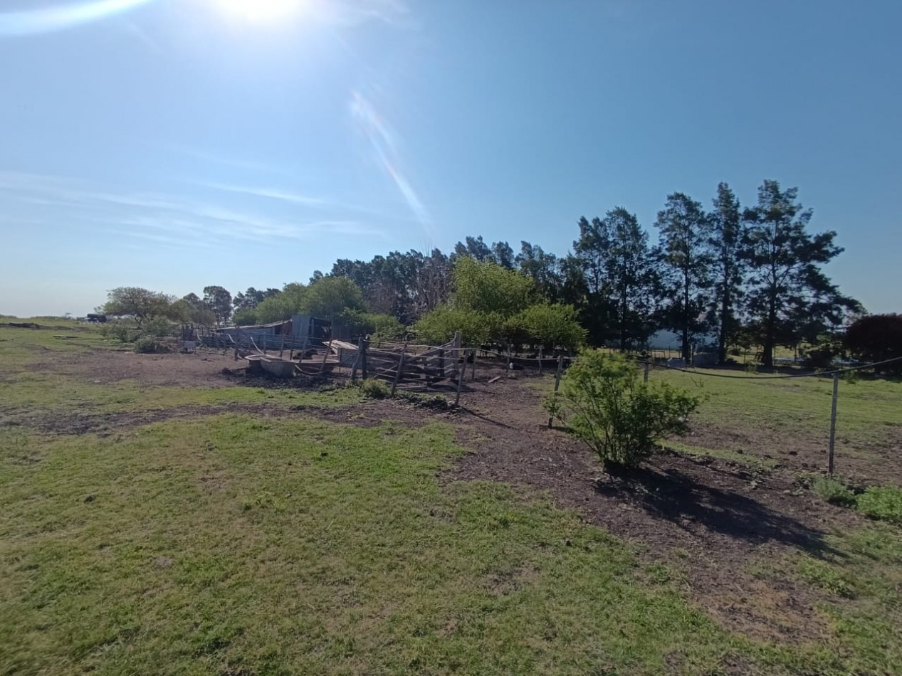 CHACRA SOBRE RUTA NACIONAL 14 ALTURA KM 53 (GUALEGUAYCHU)
