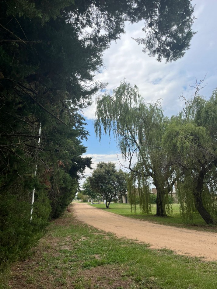 LOTE DE 1250 M2 - PRADOS DE LA ADELINA